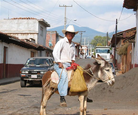 Mexico-2005--0946-0224-Eronga--Guy-Riding-Donkey.jpg