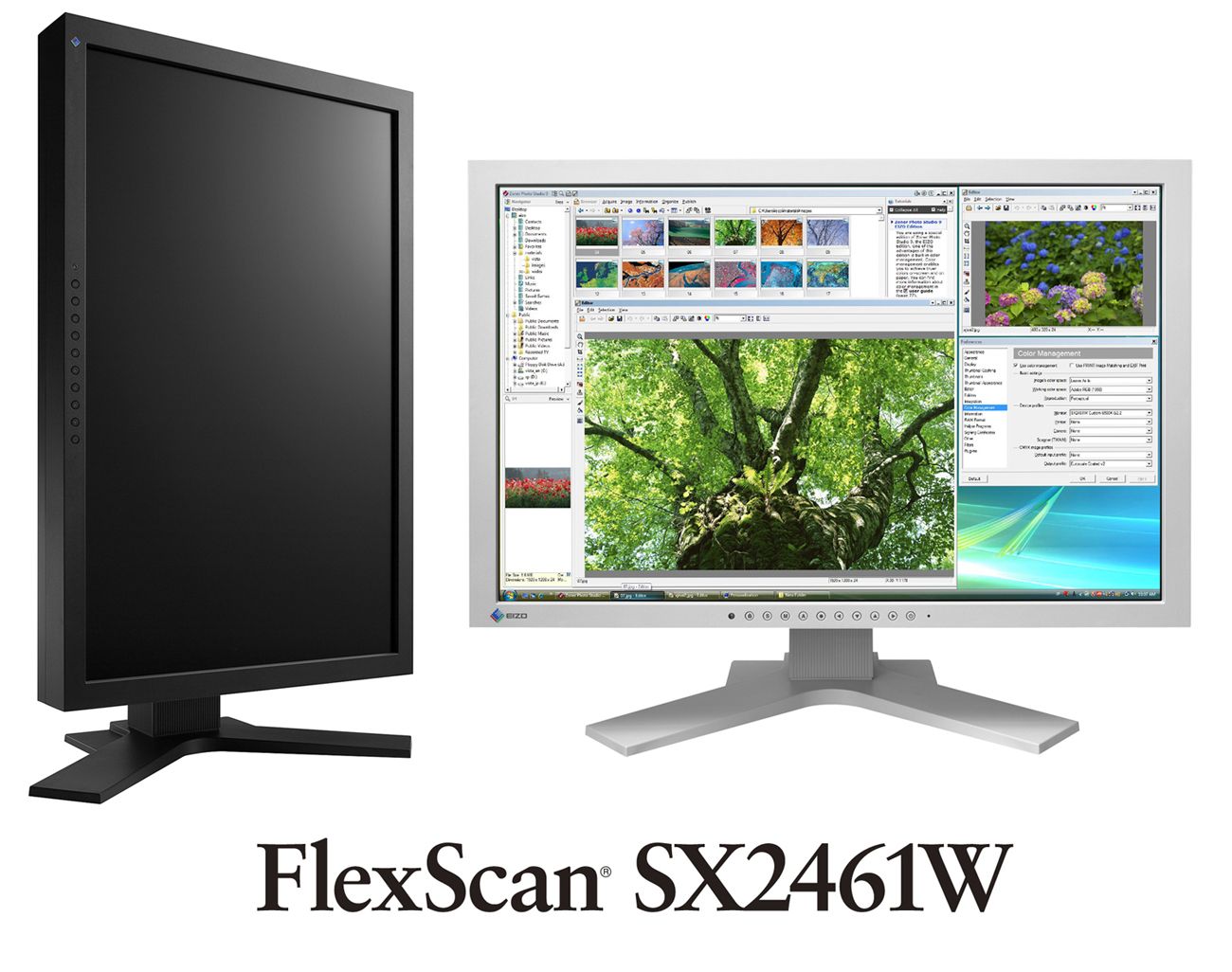 FlexScanSX2461W.jpg