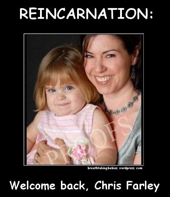reincarnation2.jpg