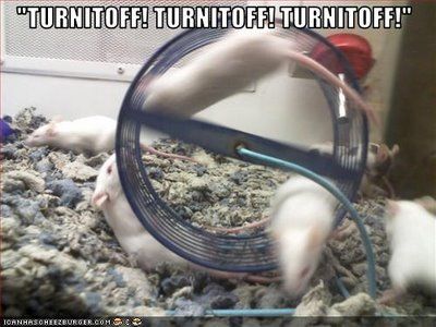 funny-pictures-this-wheel-is-spinning-too-fast.jpg